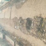 FB_IMG_1769841432929